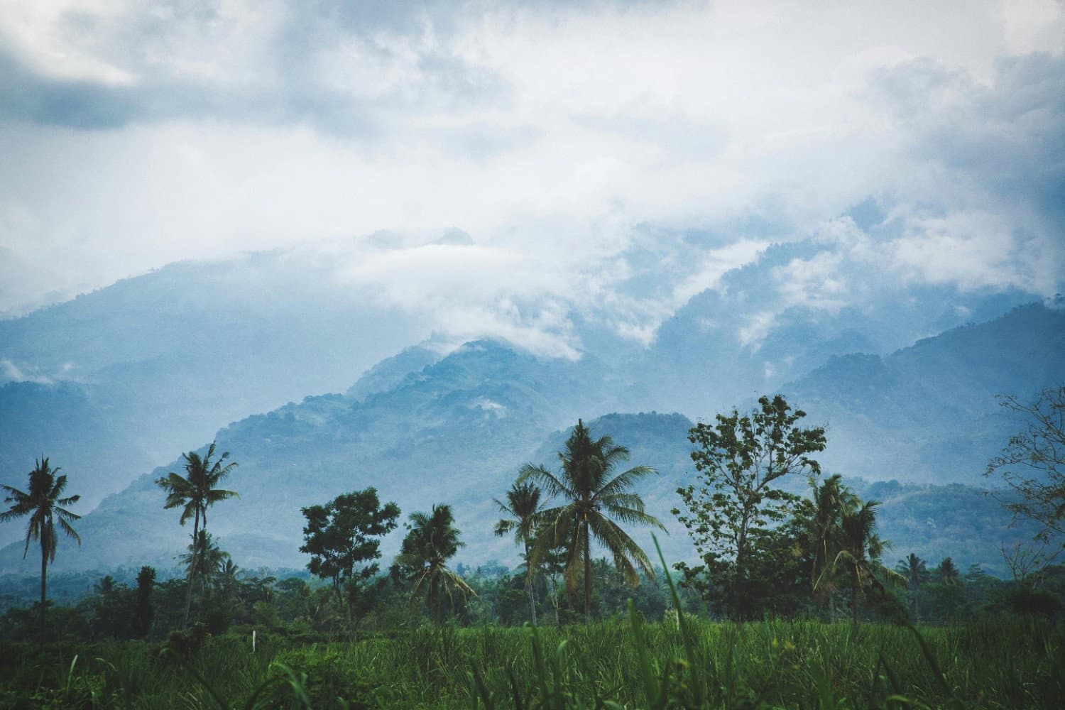 Asia’s Climate: A Weather Buffet You Didn’t See Coming