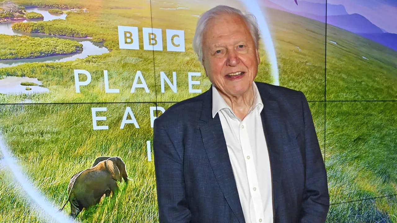 Whispering To Whales And Warning The World: Sir David Attenborough’s Legacy