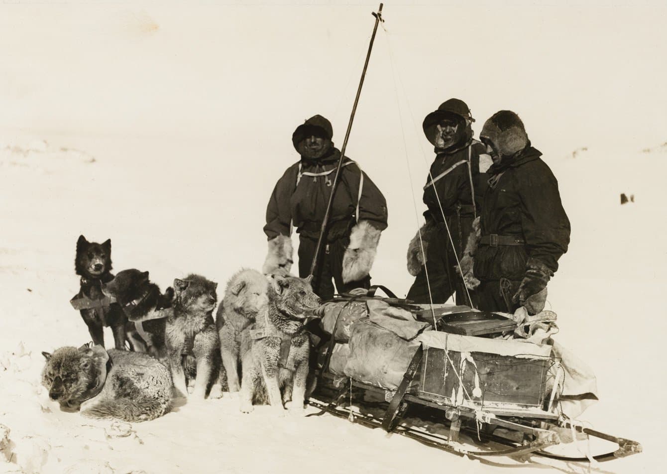Douglas Mawson: The Man Who Refused To Let Antarctica Win
